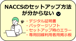 NACCSのセットアップ方法が分からない